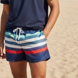 CHUBBIES -QUICK DRY multiple stripes, swim trunks